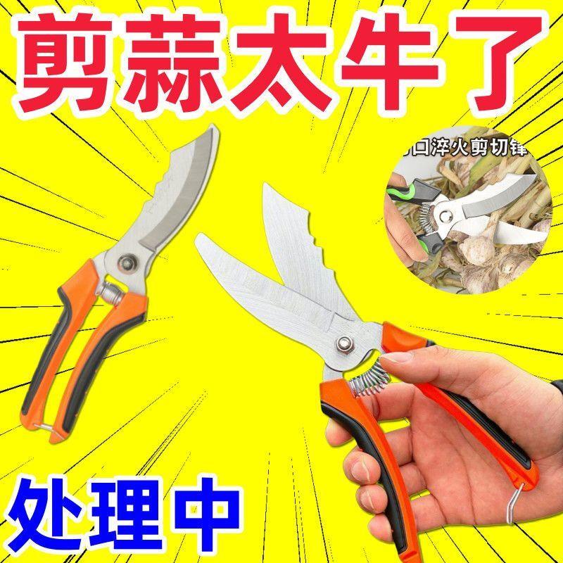 热销大蒜专用剪刀剪大蒜的剪刀大蒜剪子剪大蒜干湿两用专用剪子镐