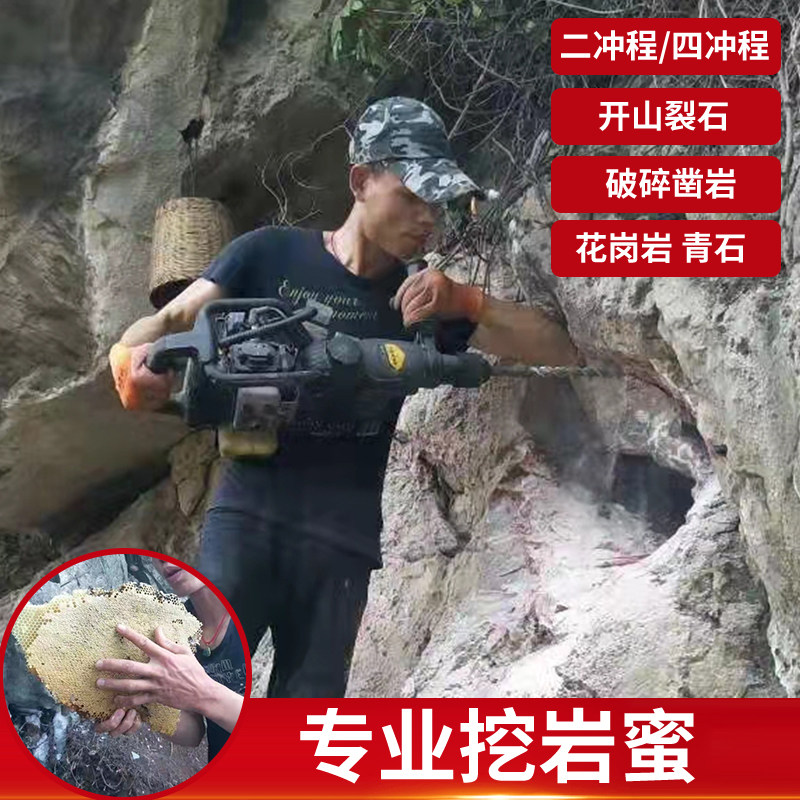 澜墨轻型锤冲击钻转打混凝土小型汽油镐锤钻三用家用岩蜜青石钻孔