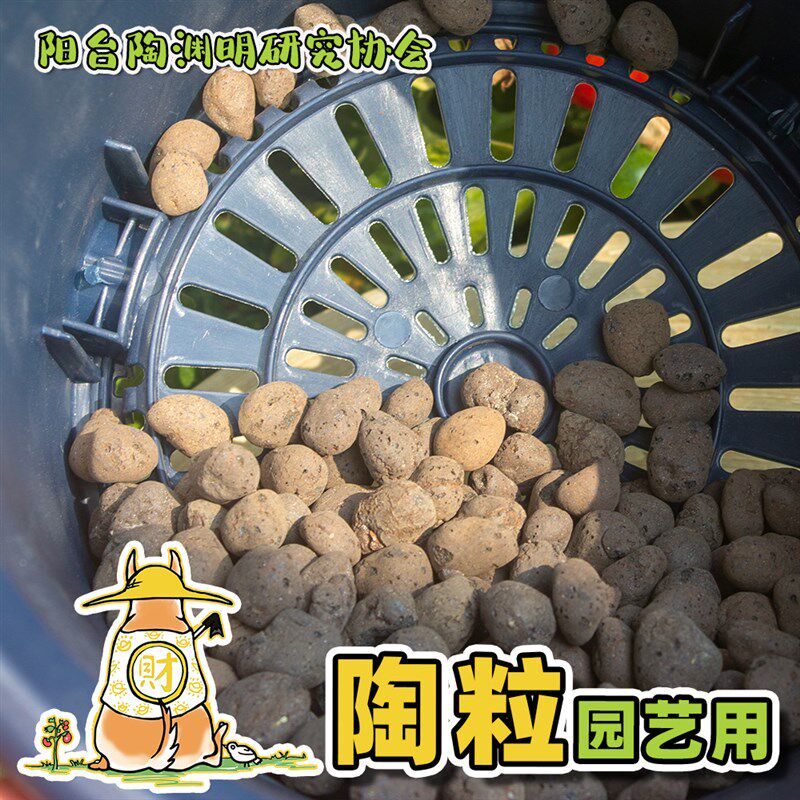 陶粒花用介质垫底园艺用水培排水兰花种花防烂根王汪淑芬的小阳台