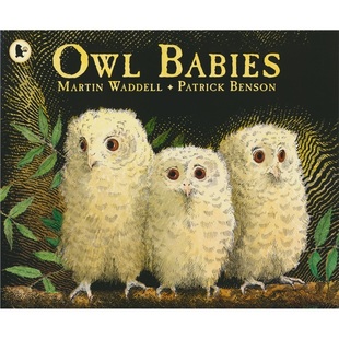 Walker Books Owl Babies 猫头鹰宝宝 英语故事绘本 全彩插图 温馨治愈 亲子读物 3-6岁 英文原版进口儿童图书