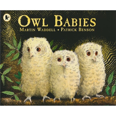 Walker Books Owl Babies 猫头鹰宝宝 英语故事绘本 全彩插图 温馨治愈 亲子读物 3-6岁 英文原版进口儿童图书