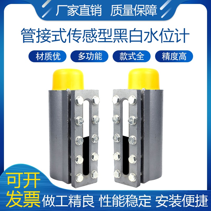 管接式传感型黑白水位计蒸汽发生器水位计液位计接管式电极水位计