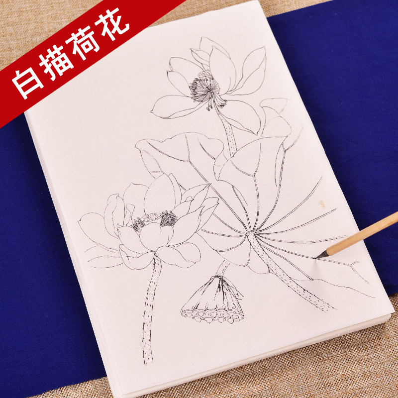 工笔画白描底稿手绘荷花画谱线描临摹练习熟宣纸莲花水彩国画上色
