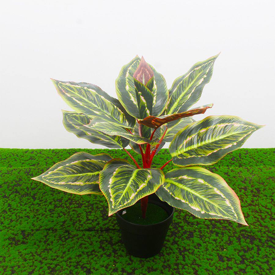 厂家仿真万年青红叶苹果叶绿植小盆景搭配造景装饰小绿植配件