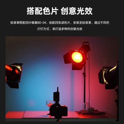 保荣口标准罩摄影灯影室闪光灯圆形反光罩柔光罩聚光灯罩影棚附件