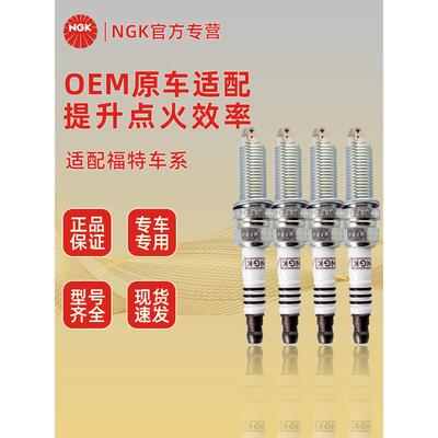 适用于福特福克斯嘉年华综合马科蒙迪欧胜利Escape Edge Ngk火花