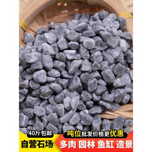 南京黑色砾石水洗石庭院铺路枯山水碎石子深灰色石子黑色石子石头