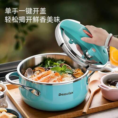 Desselan德森朗炫彩珐琅不锈钢 3.5升100kpa 双按304不锈钢高压锅
