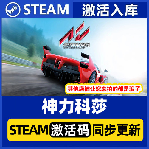 Steam正版PC国区CDKey  神力科莎 标准版 终极版 激活码入库 速发