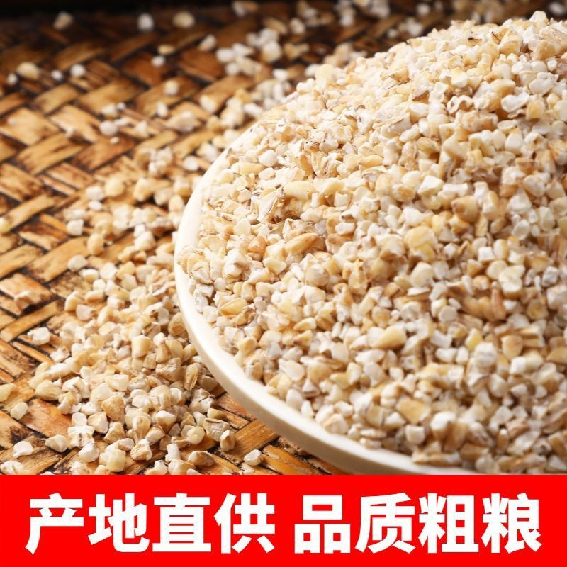 盐城特产五谷杂粮大麦采子粗粮大麦糁子大麦采子大麦米 批发价