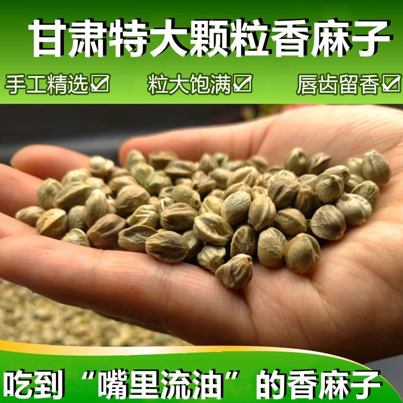 天水甘谷特产大颗粒麻子五香火麻子原味熟生特大食用麻籽食用新货