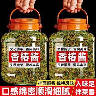 嫩芽香椿酱下饭酱香气浓郁美味诱人香飘四溢香椿芽酱瓶装原味香辣
