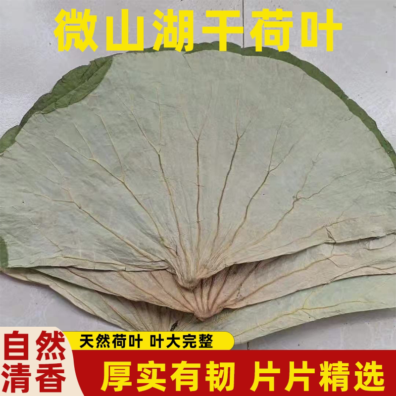 微山湖干荷叶原生好叶自然晒干片大形整整张荷叶鸡荷叶茶新鲜大张