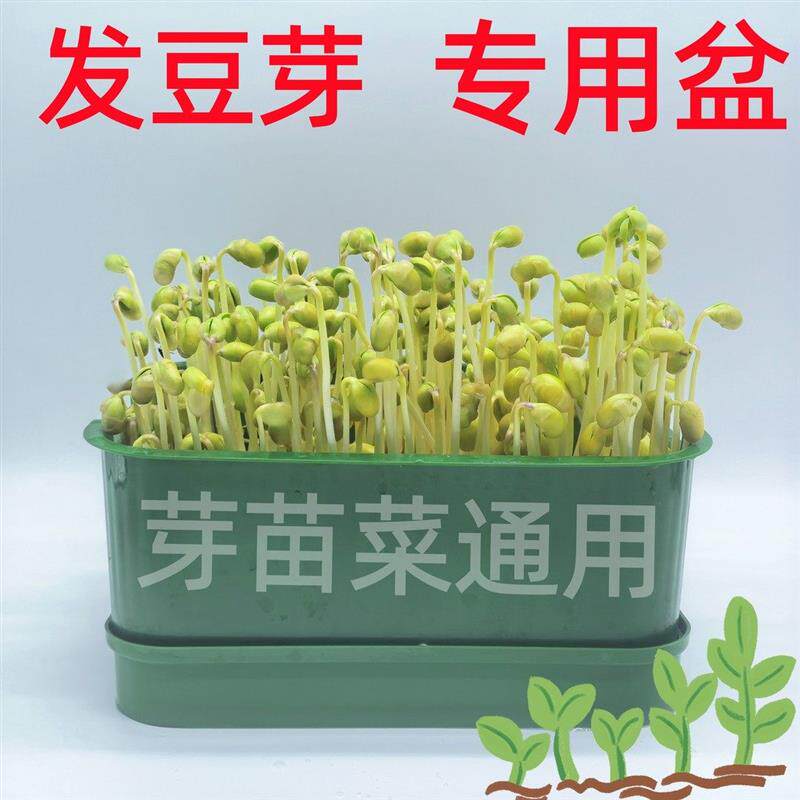 热销育苗盘种植发芽盆大容量家用豆芽机发豆芽专用盆神器生黄绿豆