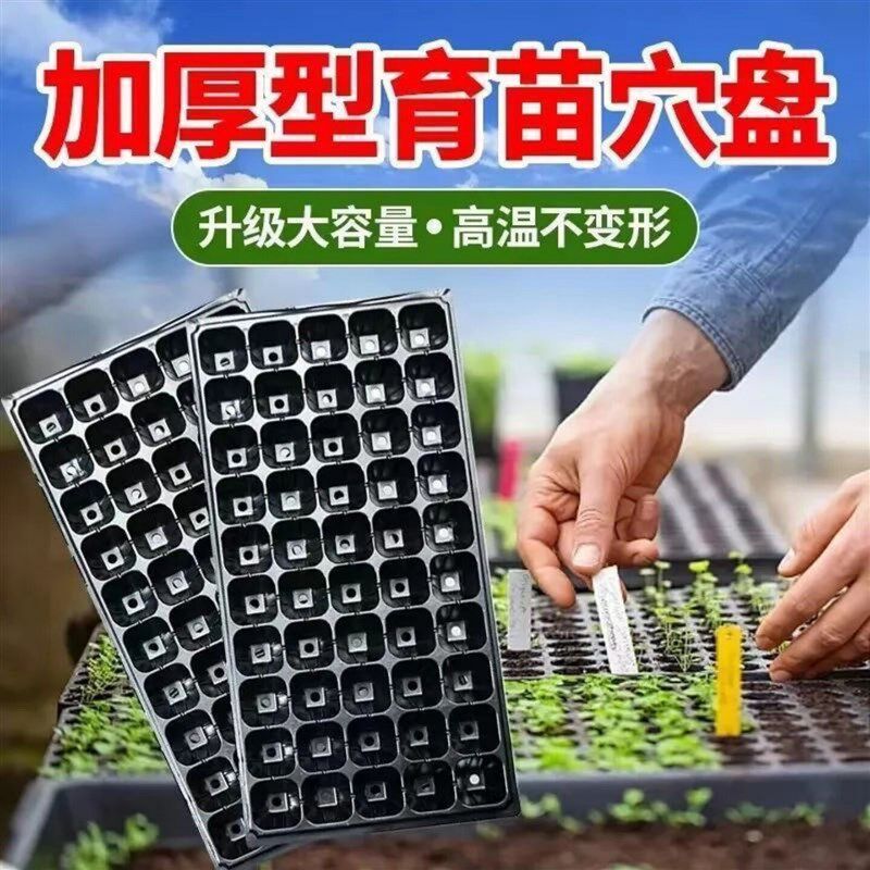 热销加厚苗盘育苗盘穴盘草莓玉米辣椒西瓜蔬菜托盘营养育苗杯