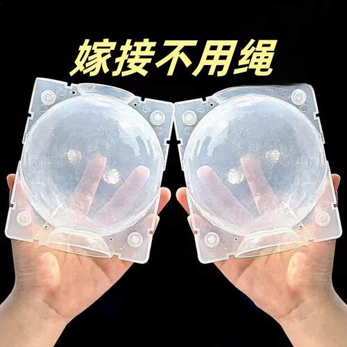 热销植物高压嫁接盒繁殖球生根包控根神器果树扦插育苗背枝园艺林