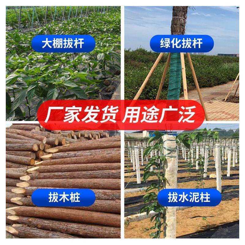 热销拔杆器农用拔大棚钢管五金工具拔竹竿拔甘蔗桩拔起水泥柱子省
