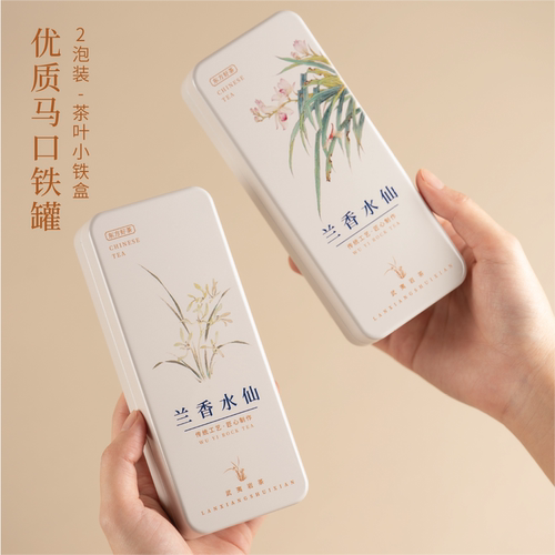 武夷岩茶马口铁茶叶小铁盒两泡装