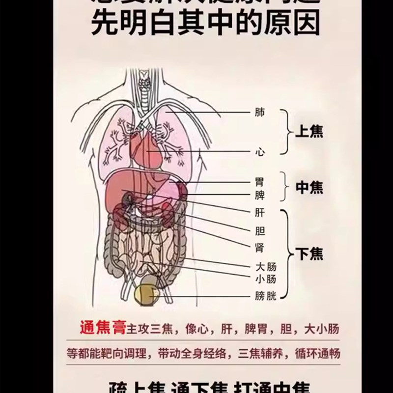 【李时珍推荐】三焦膏疏通上热中焦D下寒肝胆脾胃寒瘀虚健脾祛湿