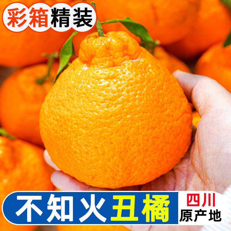 正宗四川不知火丑橘时令应季新鲜水果现摘发货整箱当季丑八怪橘子