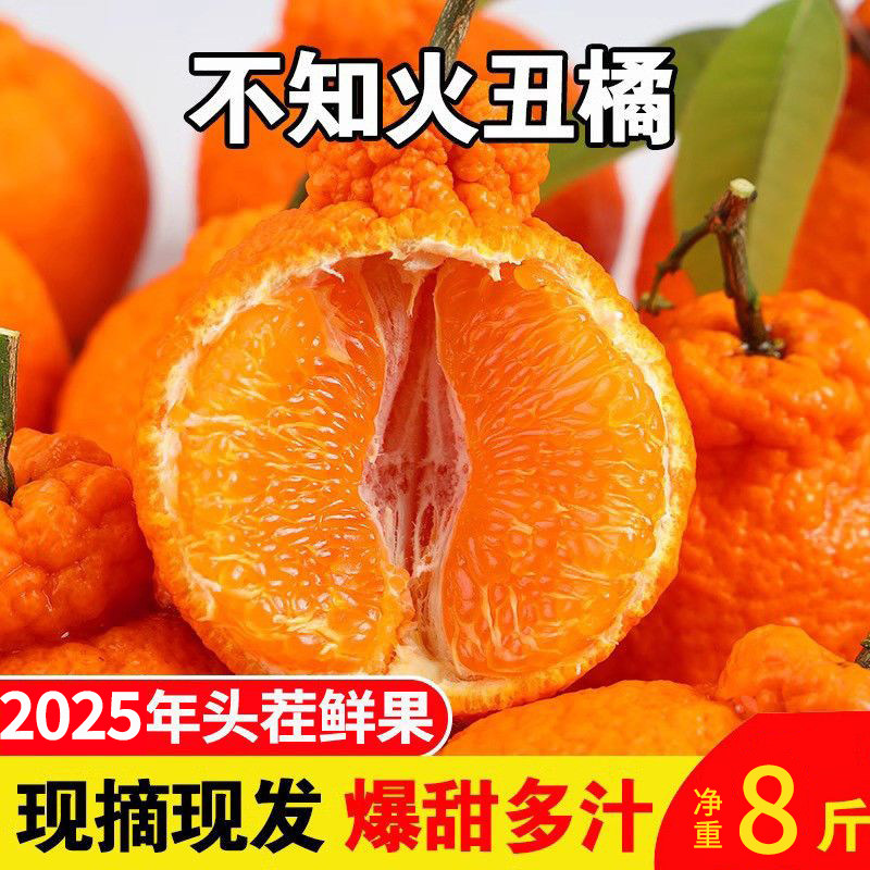 正宗不知火丑橘应季水果新鲜现摘
