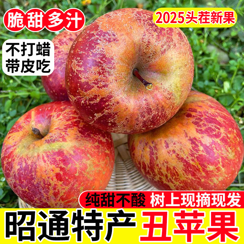 云南昭通市丑苹果冰糖心孕妇时令新鲜水果当季现摘现发整箱脆甜