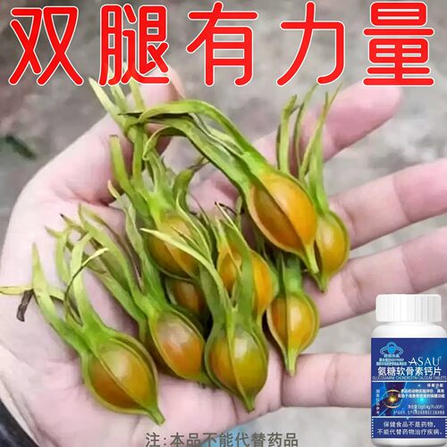 【长年双腿没劲】腿沉腿软无力走路困难体虚气虚血双补氨糖软骨片