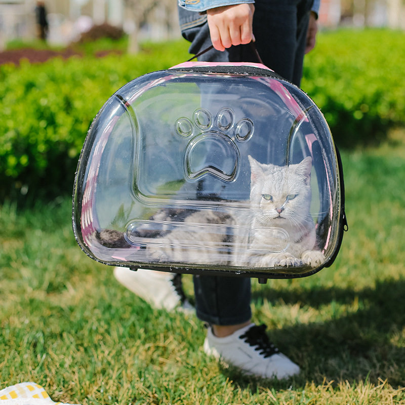 猫包外出宠物猫咪全透明书包装猫