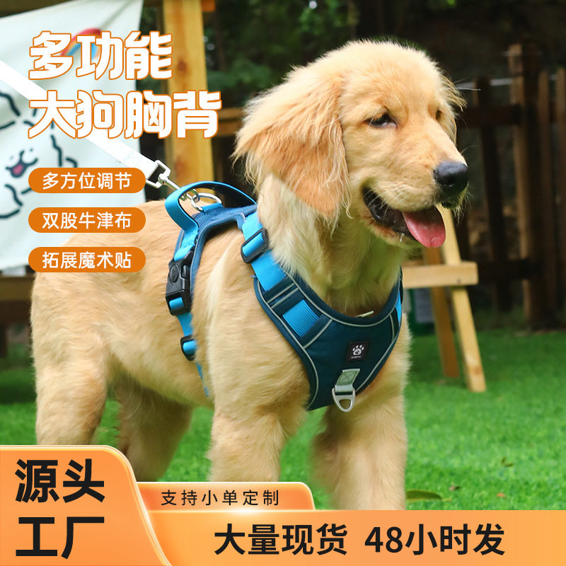 大型狗狗牵引绳金毛拉布拉多