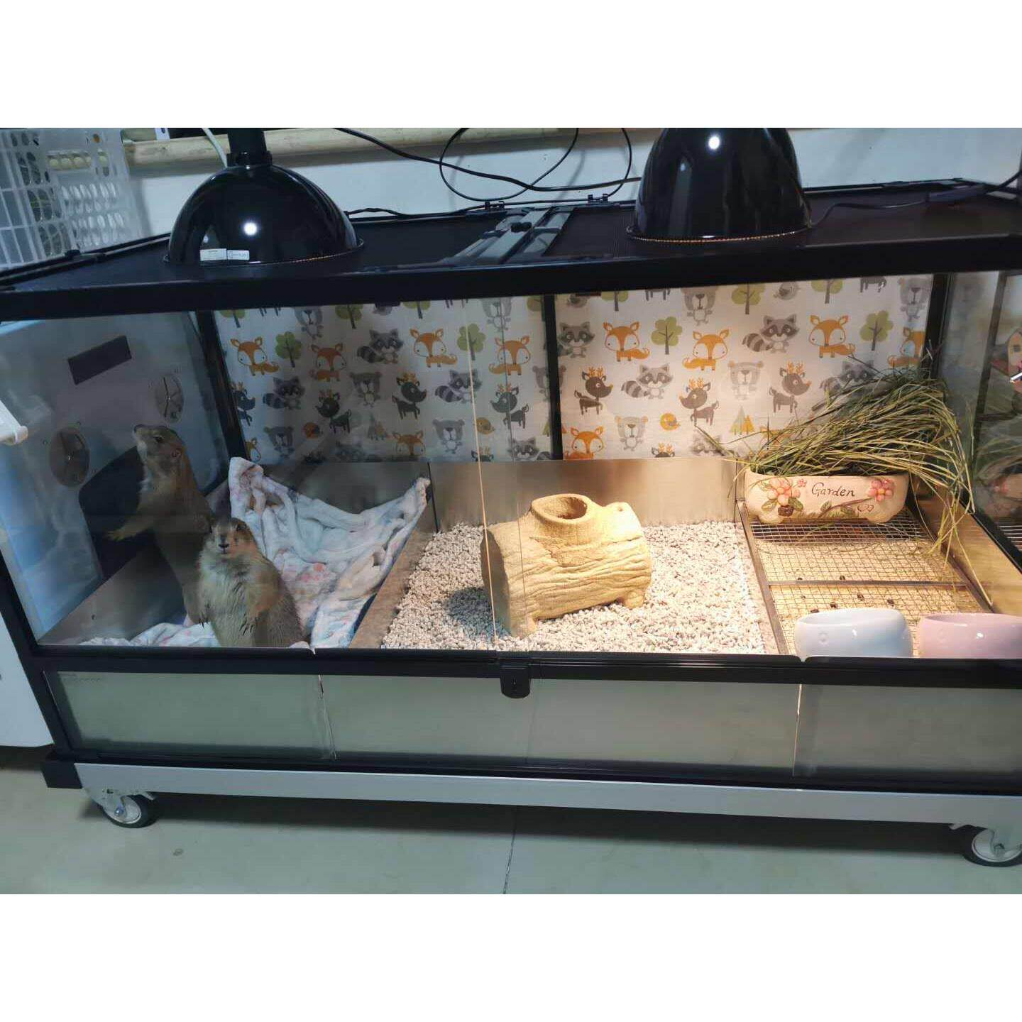 防掀宠物不锈钢三边大厕所挡尿围边貂兔子龙猫荷兰猪土拨鼠抽屉网