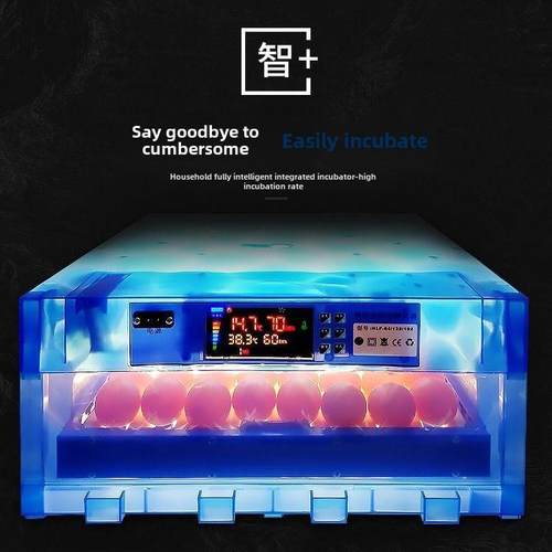 多功能全自动鸡、鸭、鹅、鸽、孔雀保温箱70祇蛋保温箱