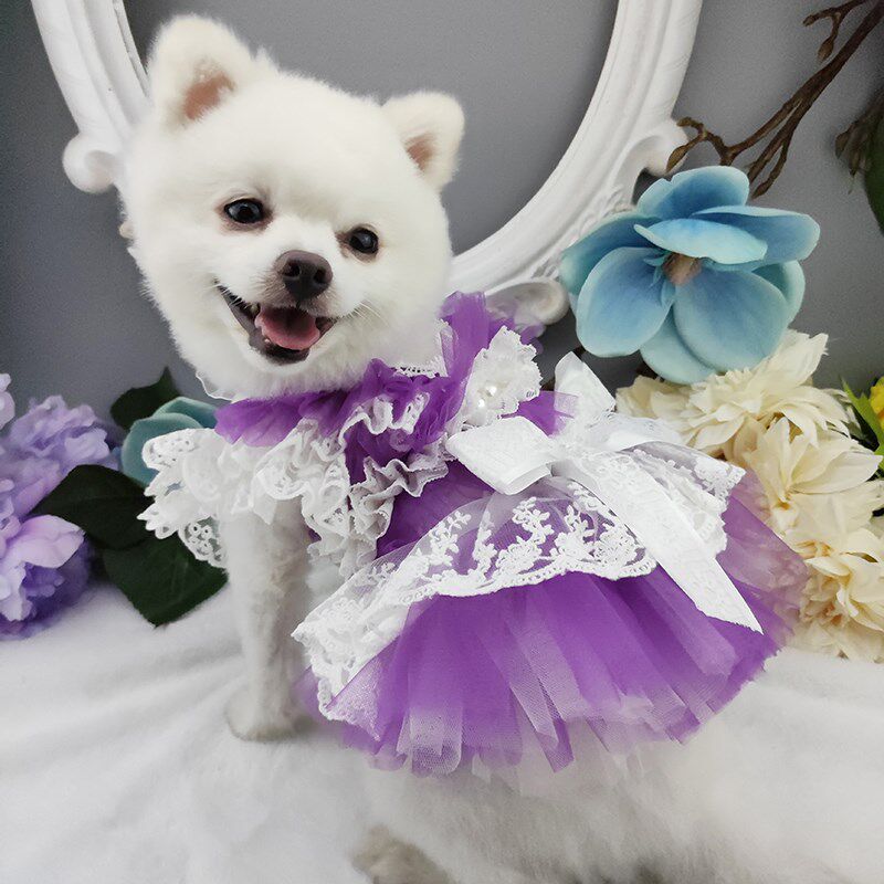 私宠手作紫色宠物蕾丝裙泰迪比熊博美薄款公主纱裙猫咪狗狗夏季裙