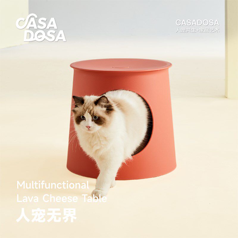 人猫共用小茶吧桌设计 户外上下两层猫窝桌子 奶酪桌风格双层桌子