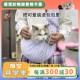 可爱斜挎包猫包狗包便携小型犬外出舒适背包 年糕家夏季 柿子菌