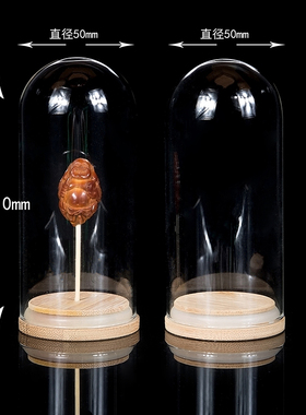 橄榄核雕单籽玻璃罩竹子底座防尘罩防开裂潮湿文玩陈列展示收纳瓶