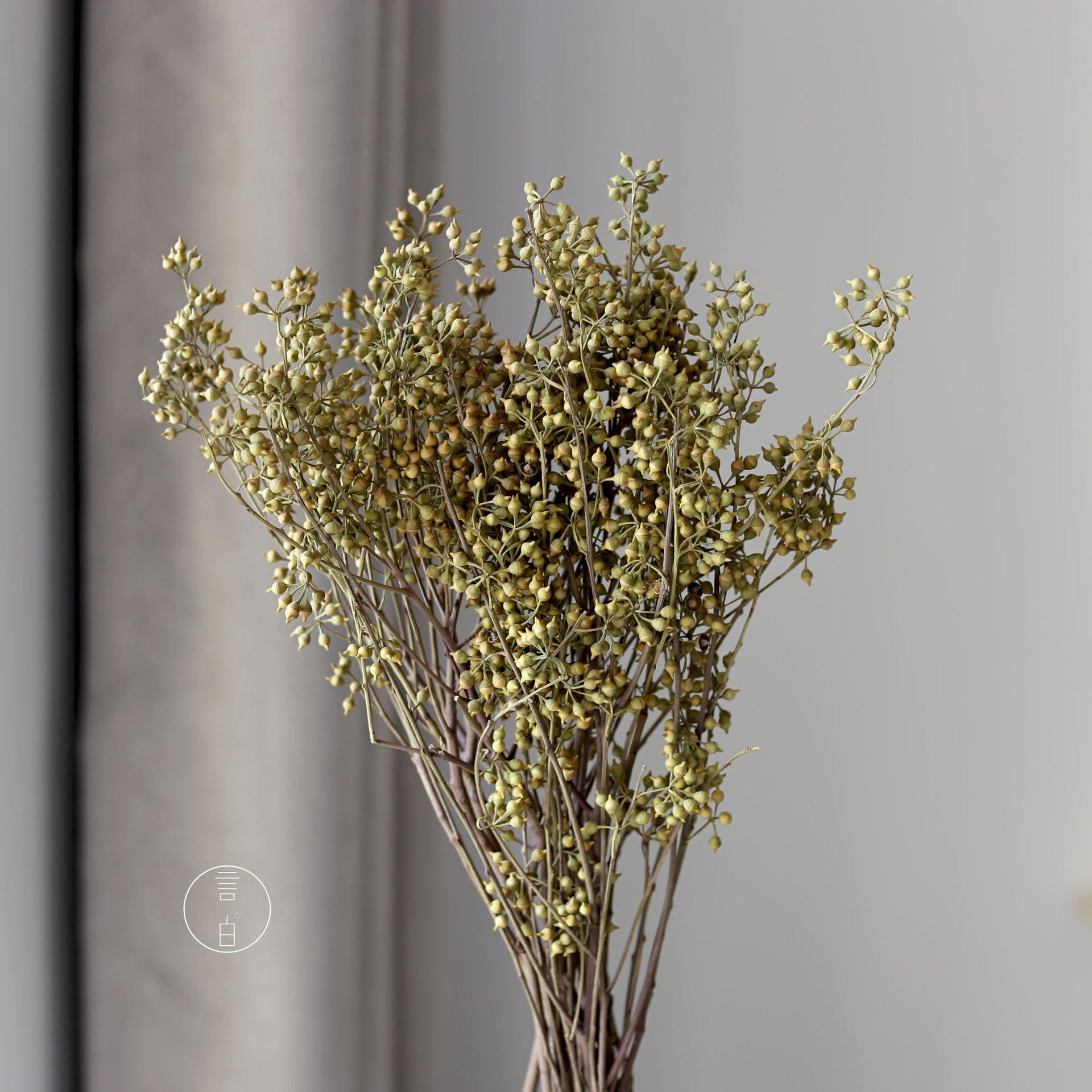小米果小尤加利果干花僵尸果桉树果永生花插花装饰摆件厂家