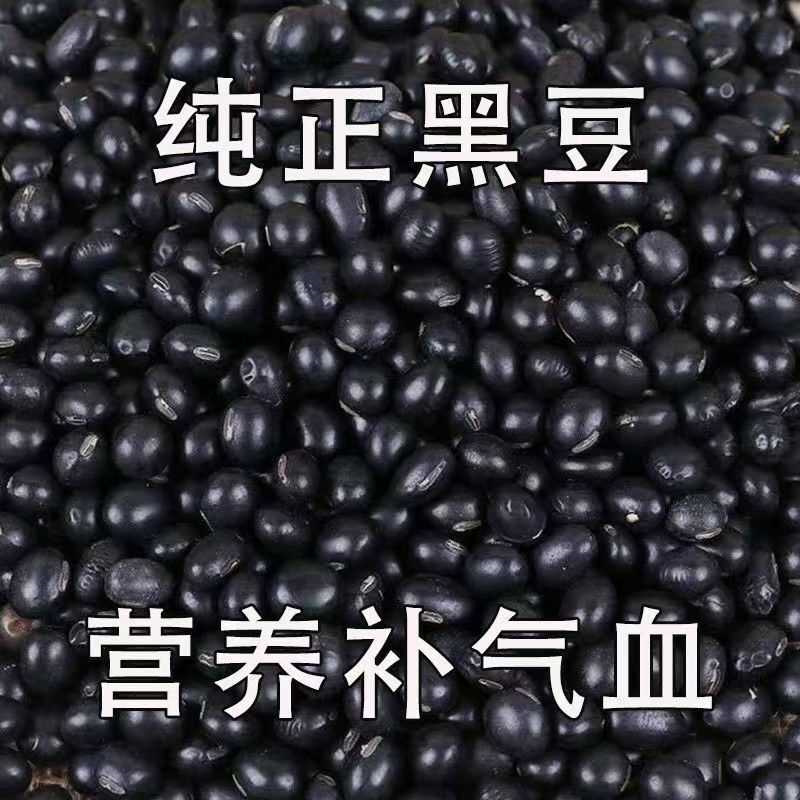 生黑豆五谷杂粮豆浆可醋泡黄芯小颗粒黑豆非转基因(小颗粒)