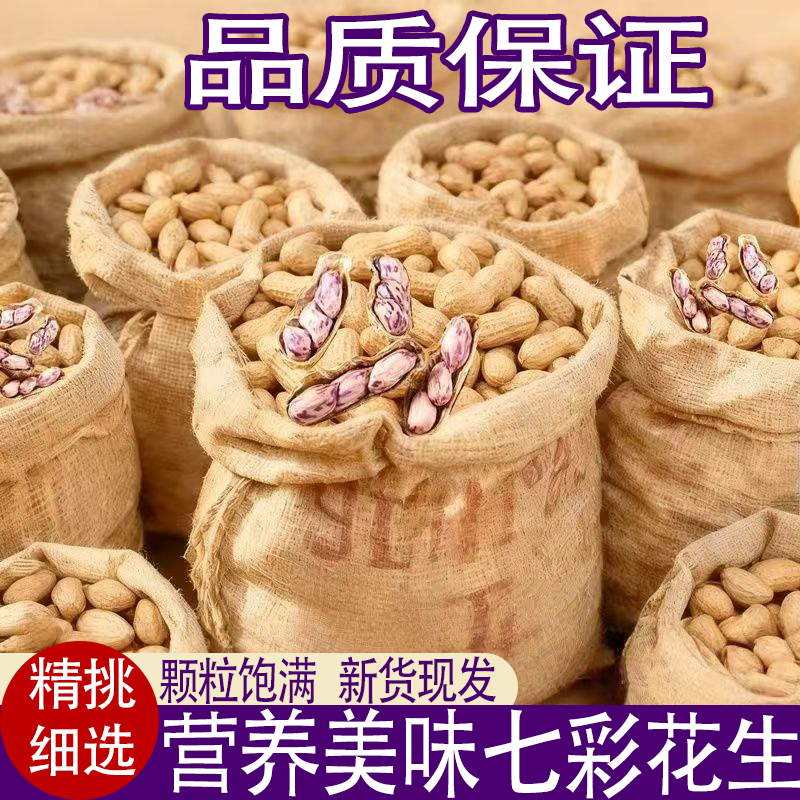 云南土特产七彩花生新鲜晒干带壳花生米皮薄易剥自然成熟现货速发