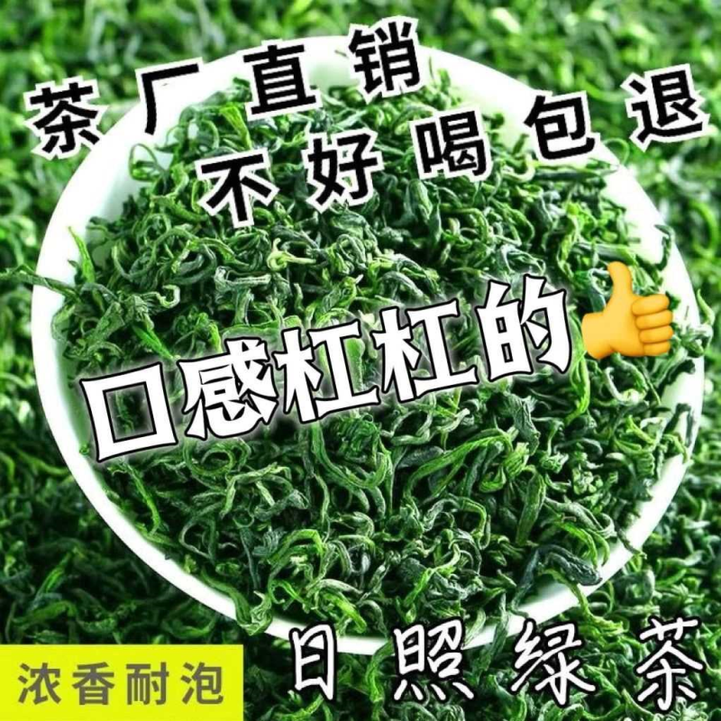山东日照绿茶茶叶2025新茶叶板栗香浓香型散装手提礼盒装正宗绿茶