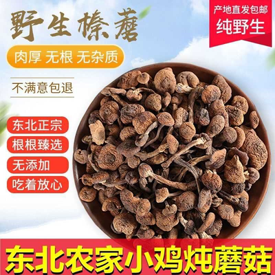 东北榛蘑野生干货小鸡炖蘑菇批发长白山土特产榛蘑丁正宗新货包邮