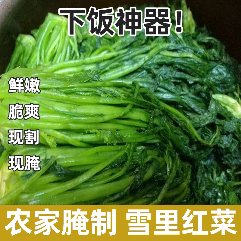 雪里红咸菜腌菜咸菜绿雪菜爽口下饭菜酱菜酸菜健康新鲜色味俱佳
