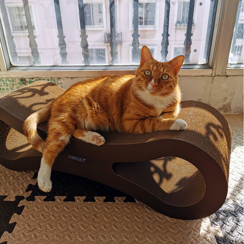 大号猫抓板耐磨大型磨爪器立式超大猫爪板瓦楞纸大型猫咪玩具包邮