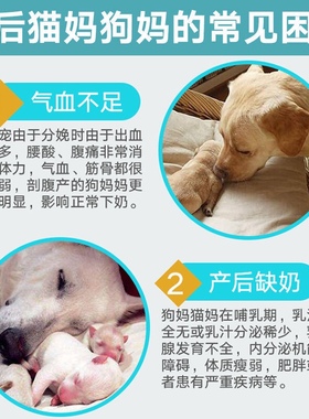 宠肤恩催奶宝母猫母狗猫咪狗狗哺乳期催乳药催奶剂宠物营养补充剂