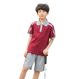 东莞市凤岗镇小学生统一校服棉短袖T恤短裤夏季夏装凤岗小学校服