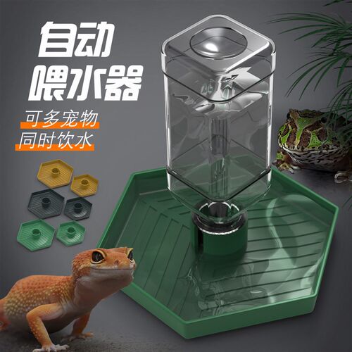 爬宠陆龟自动饮水器蜥蜴黄缘爬虫半水龟食盆水盆塑料喂水食盘水盘