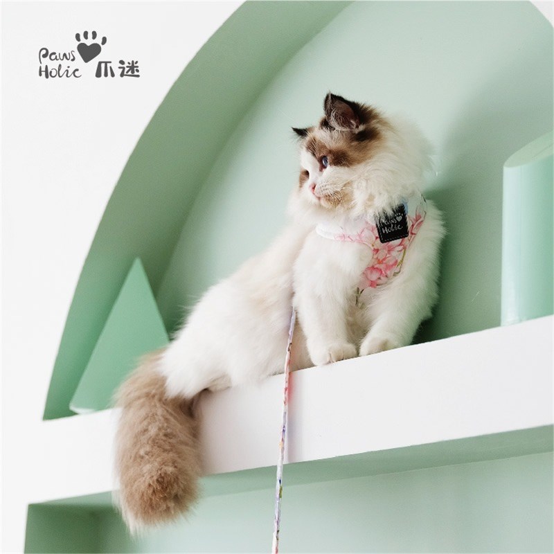 PawsHolic爪迷猫咪牵引绳背心式胸抱婴袋防挣脱宠物户外溜猫绳子