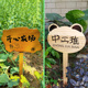 创意花园装 饰牌木制农场告示提示牌标语幼儿园种植区插地木牌定制