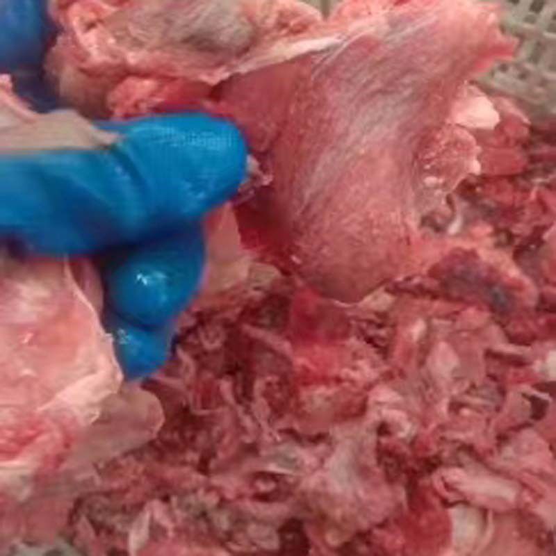 喂狗便宜牛碎肉牛肉边角料牛肉冷冻狗吃的肉袋装60斤下脚料肉喂狗