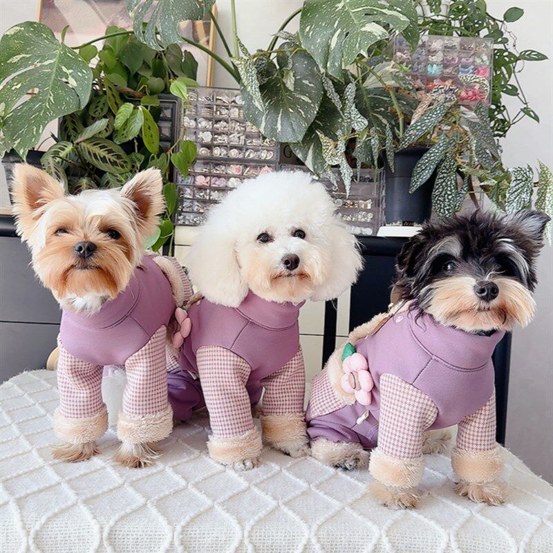 宠物秋冬保暖衣服泰迪比熊雪纳瑞狗狗加绒包肚牵引猫咪公主中厚装