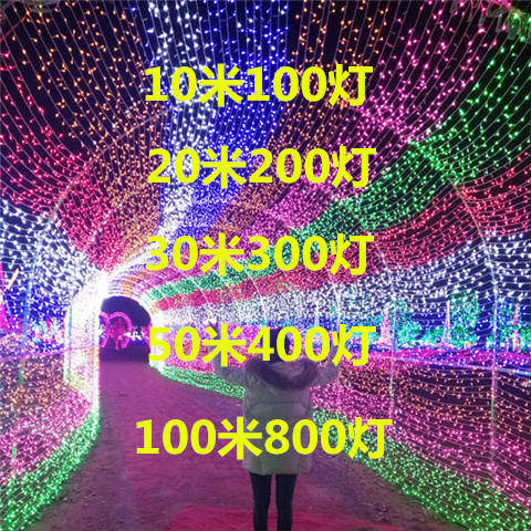 LED彩灯闪灯串灯满天星圣诞节庆婚庆新年户外亮化防水工程装饰灯